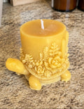 Succulent Turtle Candle